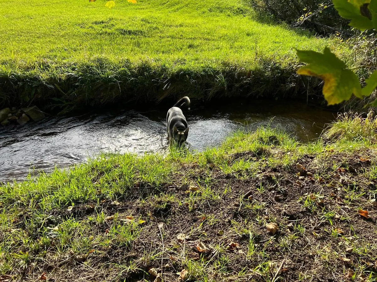 Haeusle In Der Tannenmuehle Villa Seeg